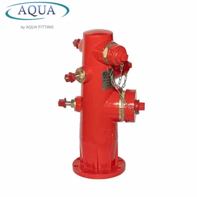 Hydrant aus duktilem Eisenmaterial für Feuer DN80, DN100